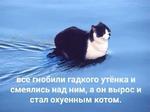 мєми про жівотних 2.0
