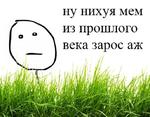первоклассная метаирония