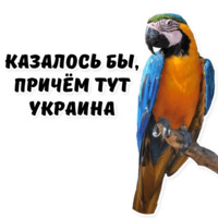 Казалось бы причем. Украина я тут не причем. Казалось бы причем тут Украина Мем. Казалось бы причем здесь Украина. Причем здесь Украина Мем.