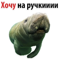 Мишенька ЛАМАНТИН