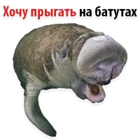 Мишенька ЛАМАНТИН