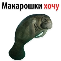 Мишенька ЛАМАНТИН