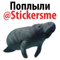 Мишенька ЛАМАНТИН