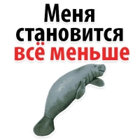 Мишенька ЛАМАНТИН