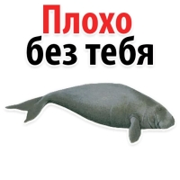 Мишенька ЛАМАНТИН