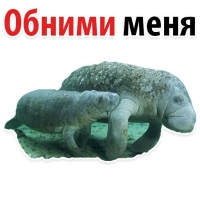 Мишенька ЛАМАНТИН