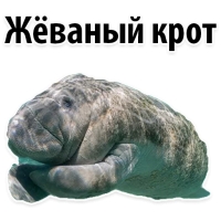 Мишенька ЛАМАНТИН