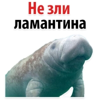 Мишенька ЛАМАНТИН