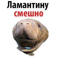 Мишенька ЛАМАНТИН