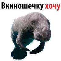 Мишенька ЛАМАНТИН