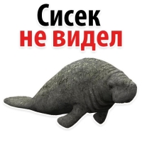 Мишенька ЛАМАНТИН