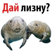 Мишенька ЛАМАНТИН