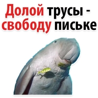 Мишенька ЛАМАНТИН