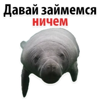 Мишенька ЛАМАНТИН