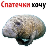 Мишенька ЛАМАНТИН