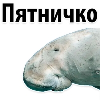 Мишенька ЛАМАНТИН