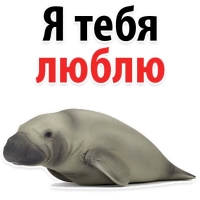 Мишенька ЛАМАНТИН