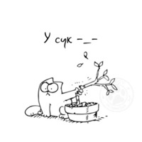 Кот Саймона