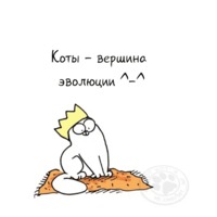 Кот Саймона
