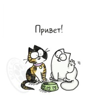 Кот Саймона