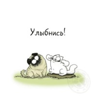 Кот Саймона