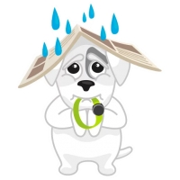 Mishiko the dog