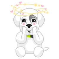 Mishiko the dog