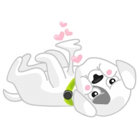 Mishiko the dog