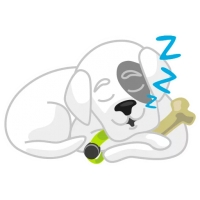 Mishiko the dog