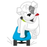 Mishiko the dog
