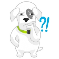 Mishiko the dog