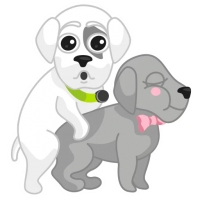 Mishiko the dog