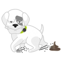 Mishiko the dog