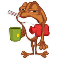 Мистер Фрого