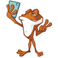 Мистер Фрого