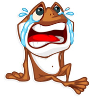 Мистер Фрого