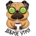 Мопс