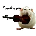 mo3n69_Feri