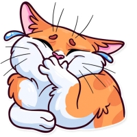 Meme Cats
