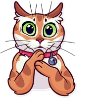 Meme Cats