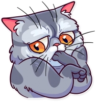 Meme Cats