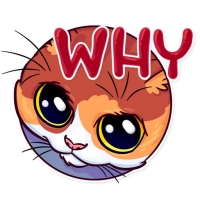 Meme Cats
