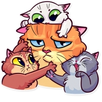 Meme Cats