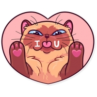 Meme Cats