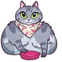Meme Cats