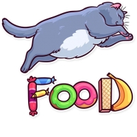 Meme Cats