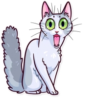 Meme Cats