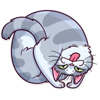 Meme Cats