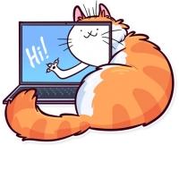 Meme Cats