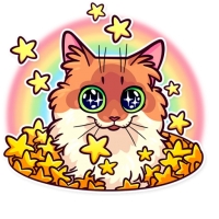 Meme Cats